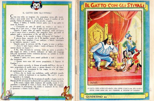 Bookbook grill the cat - bookbook, with